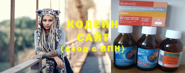 ГАЛЛЮЦИНОГЕННЫЕ ГРИБЫ Корсаков