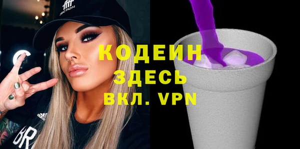 ГАЛЛЮЦИНОГЕННЫЕ ГРИБЫ Корсаков
