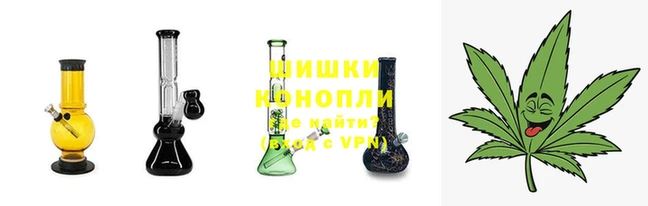ГАЛЛЮЦИНОГЕННЫЕ ГРИБЫ Корсаков