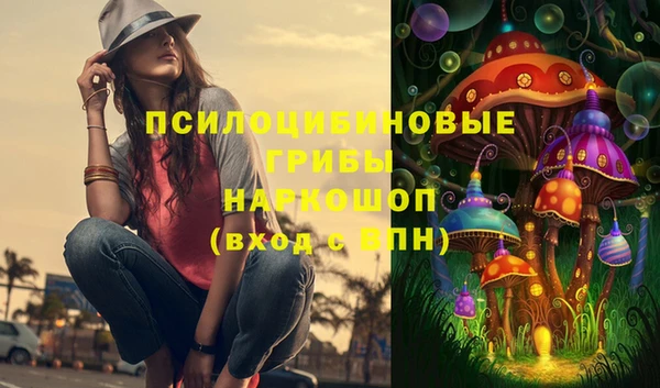 ГАЛЛЮЦИНОГЕННЫЕ ГРИБЫ Корсаков