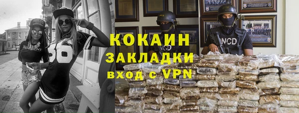 ГАЛЛЮЦИНОГЕННЫЕ ГРИБЫ Корсаков