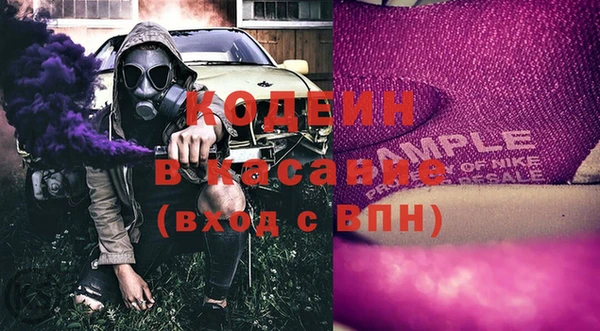 ГАЛЛЮЦИНОГЕННЫЕ ГРИБЫ Корсаков