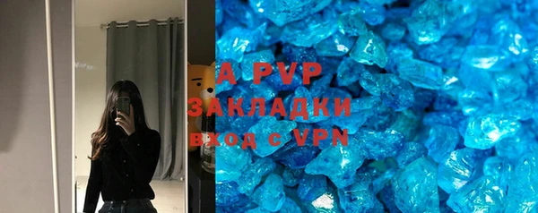 ГАЛЛЮЦИНОГЕННЫЕ ГРИБЫ Корсаков